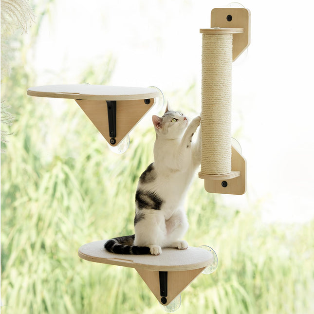 EDAGNY Katzenfenstersitzstange, Katzenkratzbaum und Katzenplattform mit starken Saugnäpfen für Hauskatzen (Grundfarbe, 1 PCS)