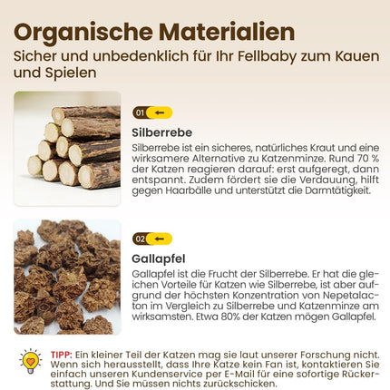 Potaroma Katzenminze Sticks, 6 Stück natürliche Katzen Kauhölzer Silvervine Sticks Katzenspielzeug, Kätzchen-Kauspielzeug für Zahnreinigung, Zahnpflege & Gegen Mundgeruch
