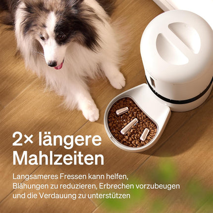 PETLIBRO Anti Sling Bowl Dog Bowl Slow Feeding Slow Eating Stainless Steel Bowl Slow Feeder Dog Bowl Compatible with Granary Automatic Cat Feeder AF203